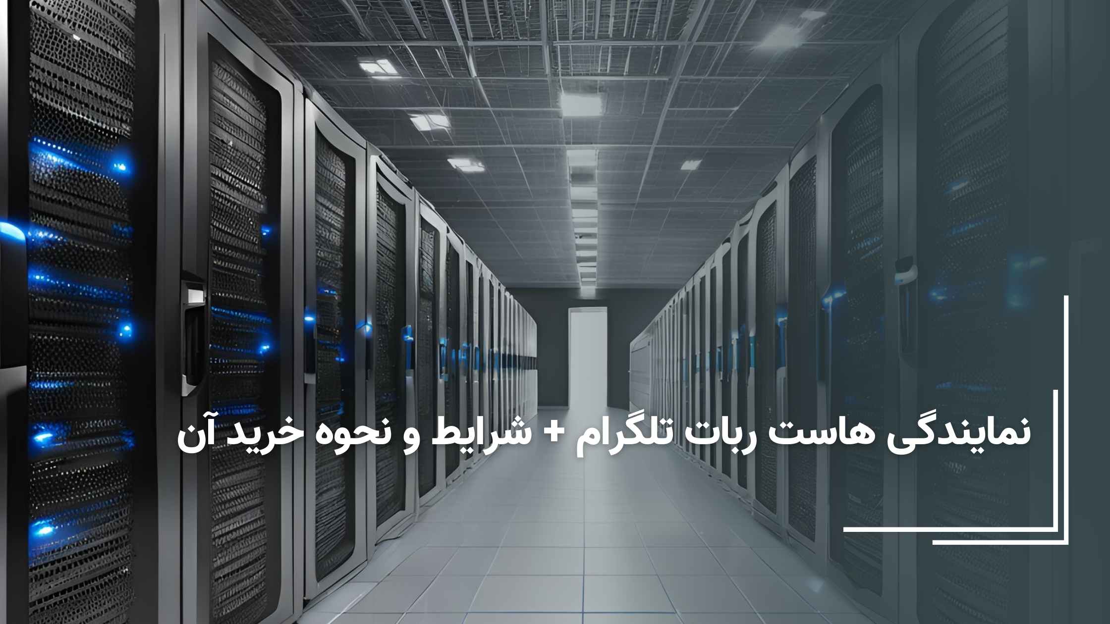 نمایندگی هاست ربات تلگرام